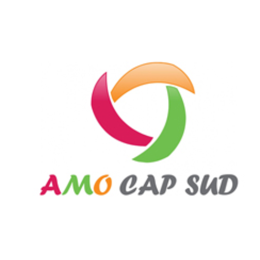 Illustration de l’association AMO CAP SUD